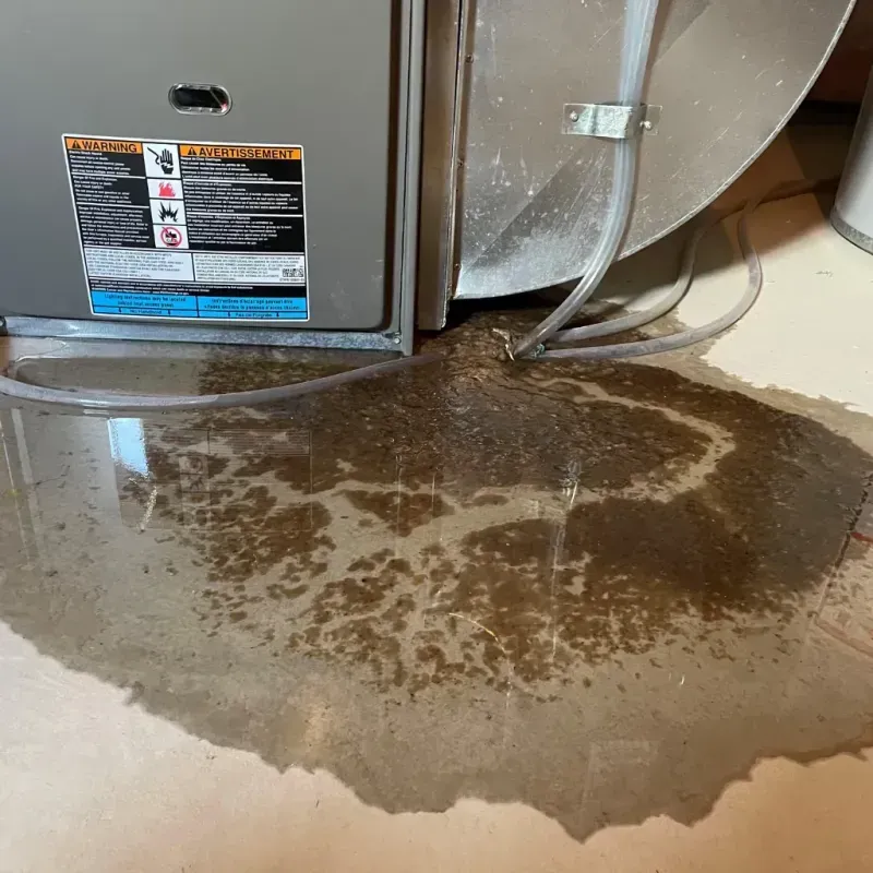 Appliance Leak Cleanup in Loxley, AL